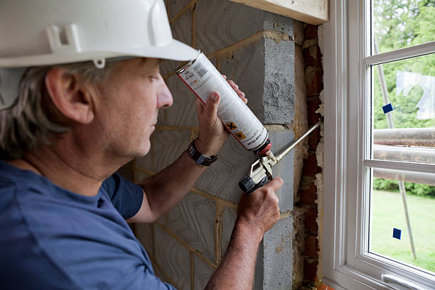 Best Local Insulation Services  in Monticello, IN